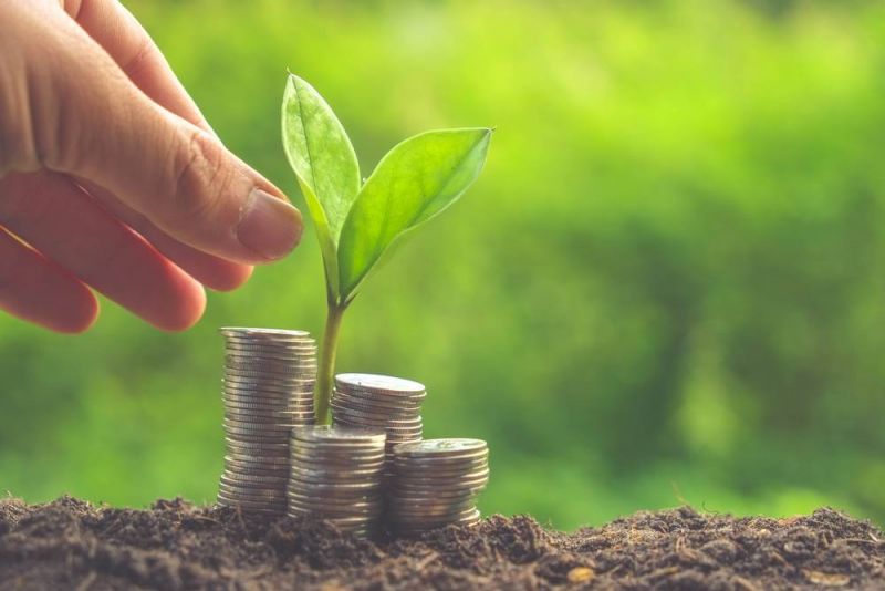 پرونده:Seed-Money-Scheme.jpg